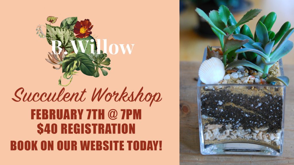 A picture of B. Willow's logo with plants and the words: Succulent Workshop, February 7th at 7pm, $40 registration, book on our website, link below